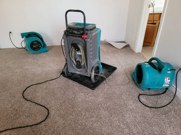 Best Local water damage restoration  in Kirbyville, TX