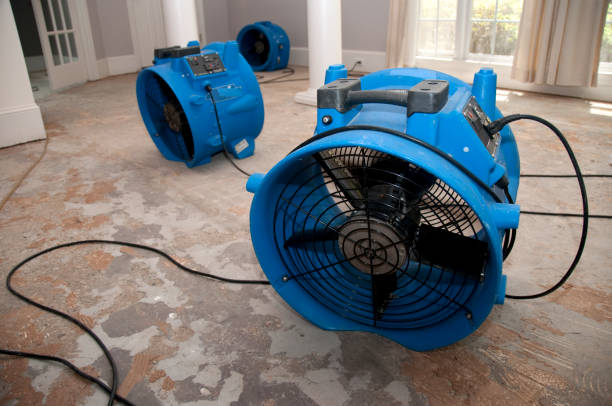Best Commercial water damage restoration  in Kirbyville, TX