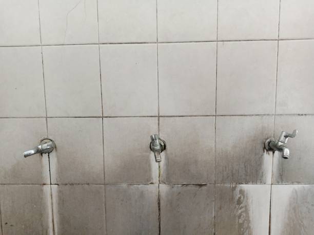 Best Residential water damage restoration  in Kirbyville, TX