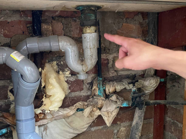 Best Flood damage cleanup  in Kirbyville, TX